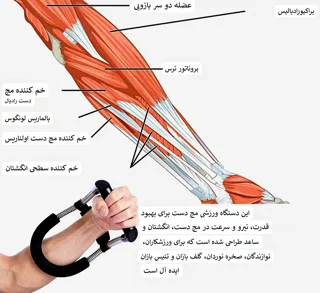 فواید و کاربرد دستگاه تقویت مچ و ساعد فنری