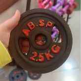 وزنه صفحه هالتر خانگی 2.5 کیلویی سوراخ 30mm (پس کرایه)
