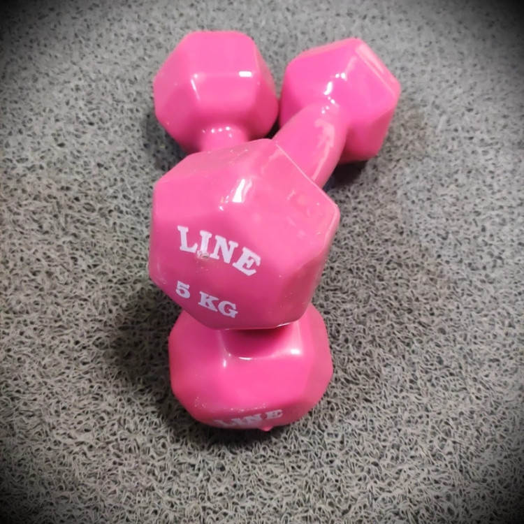 دمبل 5کیلویی روکشدار LINE رنگ مشکی (جفتی)(پس کرایه)